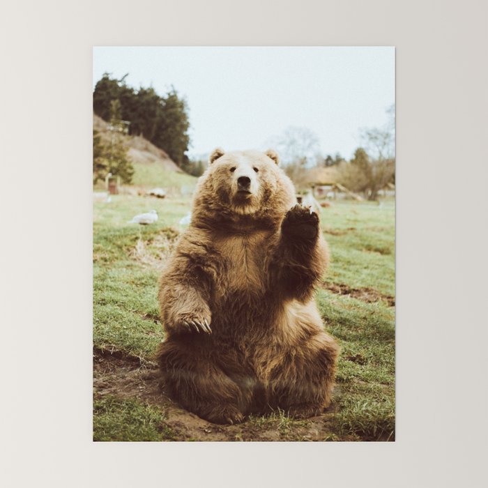 Hi Bear Mini Art Print Gallery Image 6