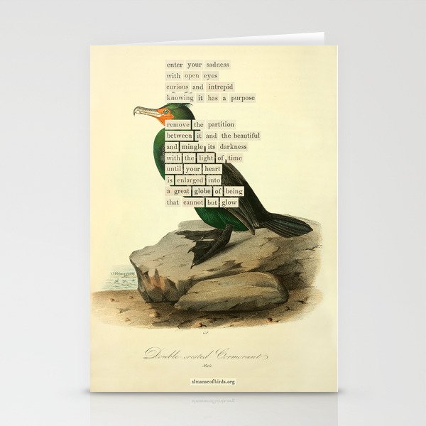 Bird Divinations: Double-Crested Cormorant (about: almanacofbirds.org) Stationery Card Gallery Image 1