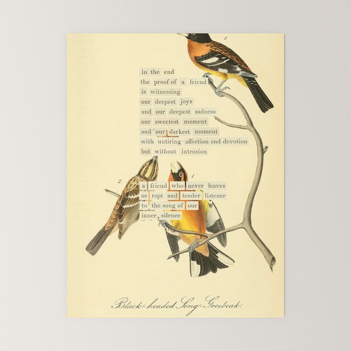Bird Divinations: Black-headed Song-grosbeak (about: almanacofbirds.org) Mini Art Print Gallery Image 6