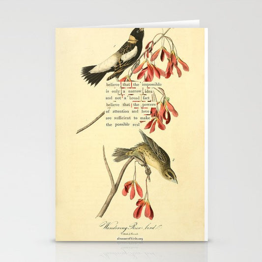Bird Divinations: Wandering Rice Bird (about: almanacofbirds.org) Stationery Card Gallery Image 2