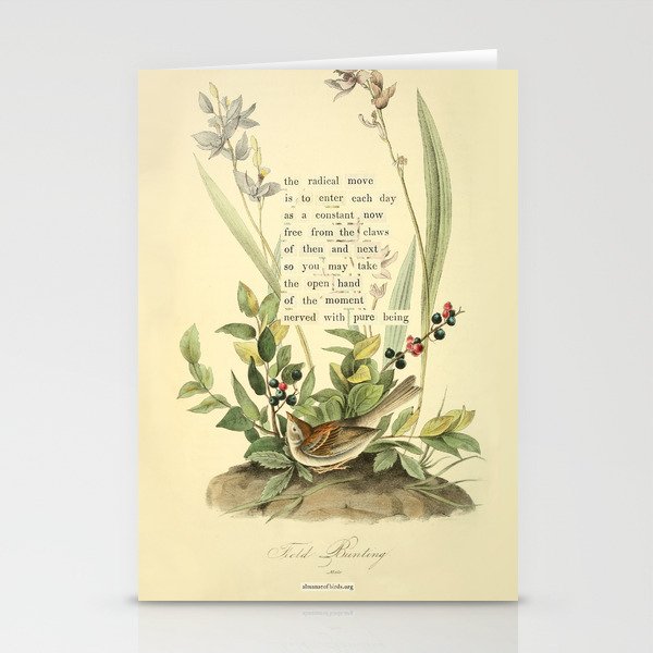 Bird Divinations: Field Bunting (about: almanacofbirds.org) Stationery Card Gallery Image 1