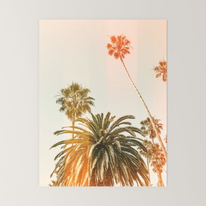 California Palms 2 - Modern Fine Art Print Mini Art Print Gallery Image 6