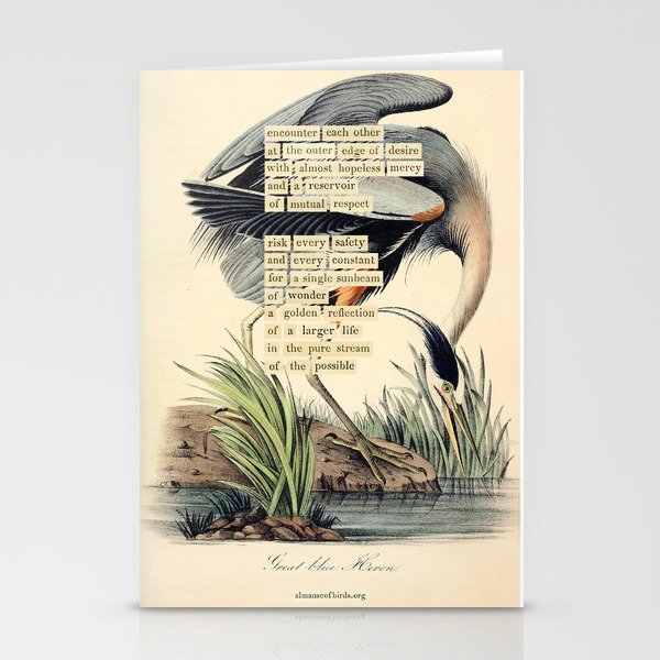 Bird Divinations: Great Blue Heron (about: almanacofbirds.org) Stationery Card Gallery Image 1