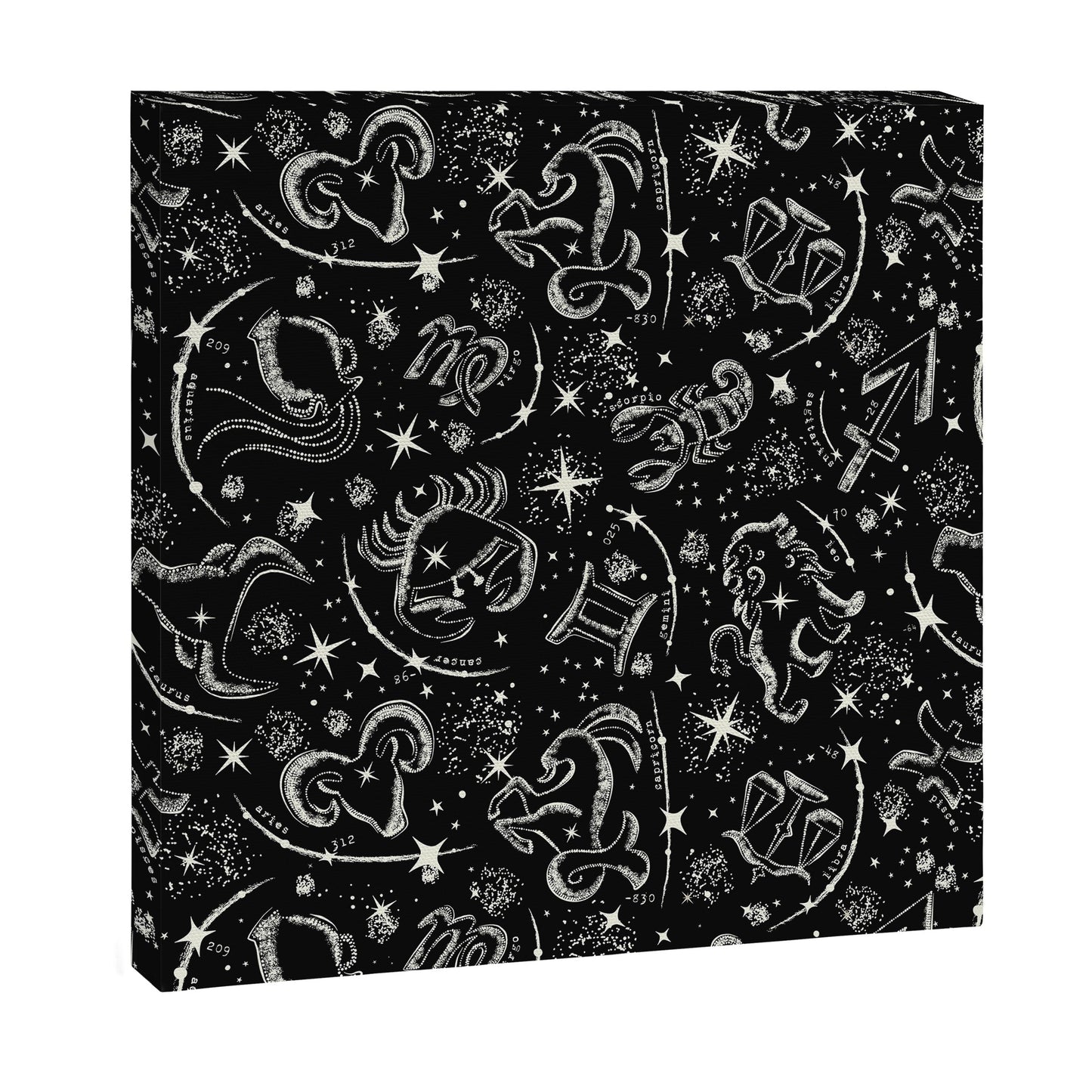 Star Child Canvas Print Gallery Image 9