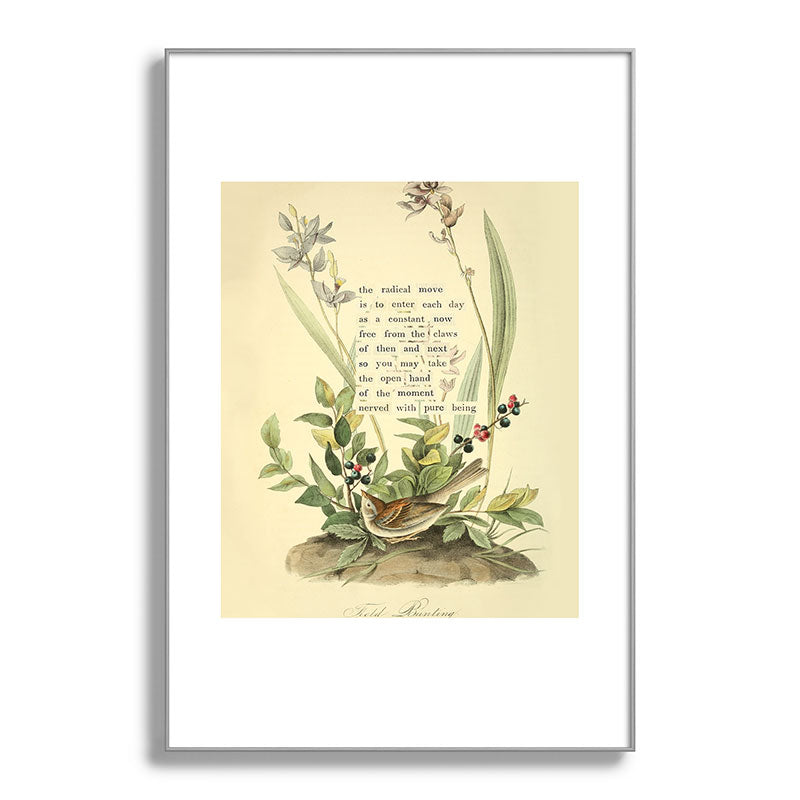 Bird Divinations: Field Bunting (about: almanacofbirds.org) Framed Art Print Gallery Image 101