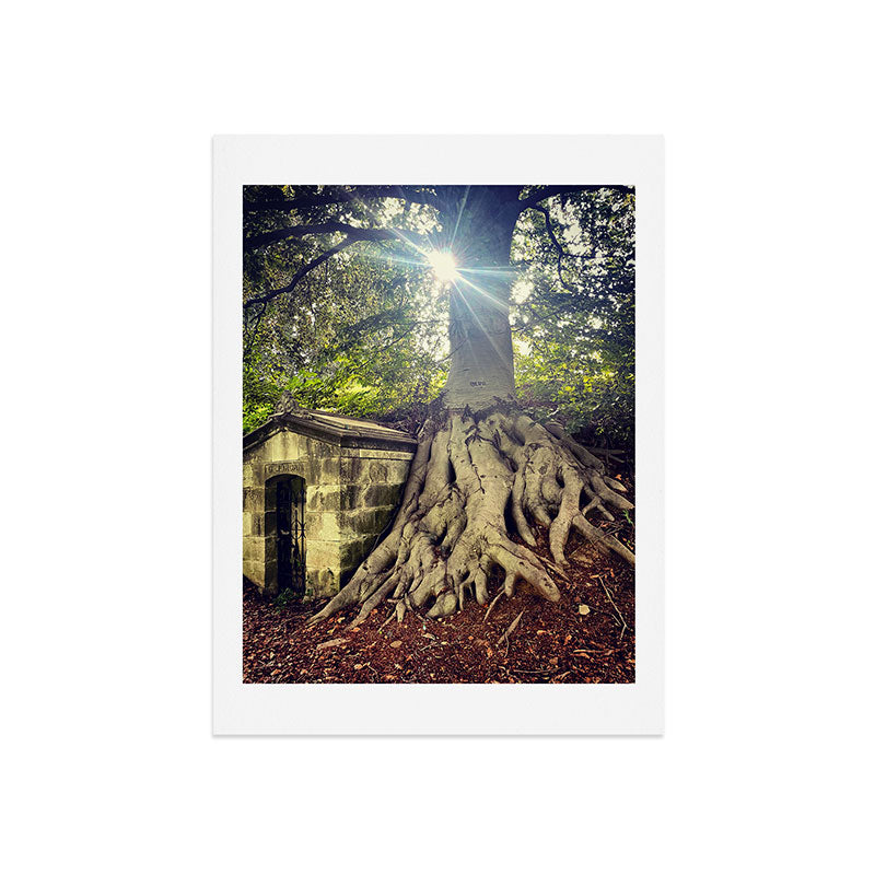 Possible Certainties Art Print Gallery Image 7