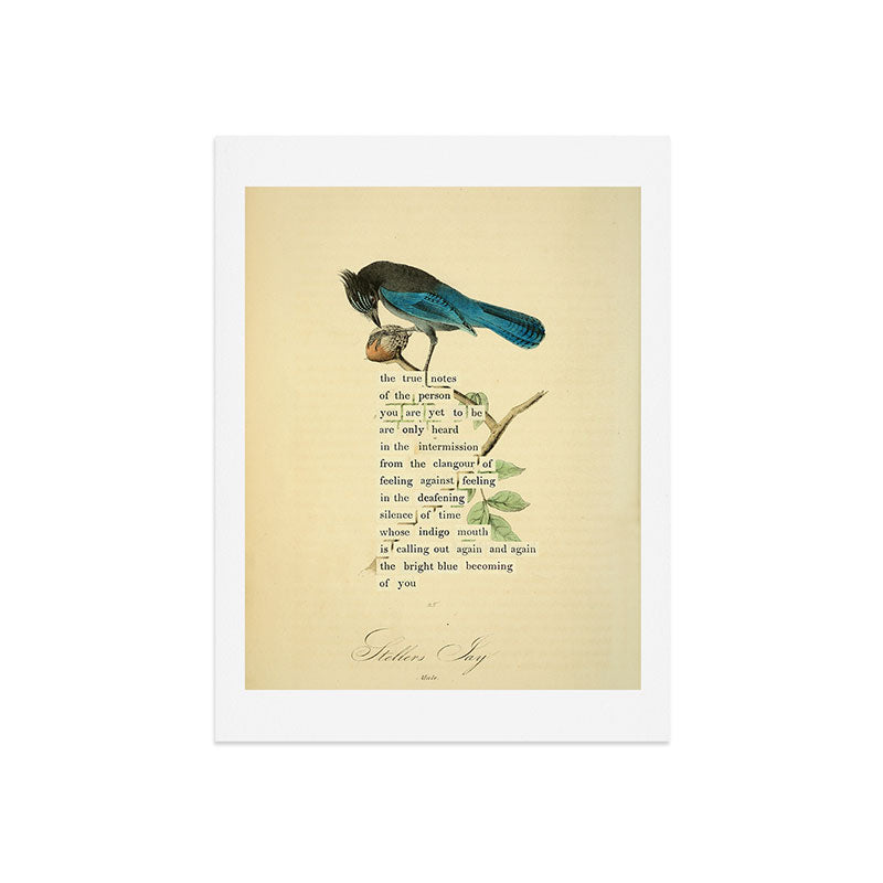 Stellers Jay Divination from # An Almanac of Birds # Divinations for Uncertain Days Art Print Gallery Image 7