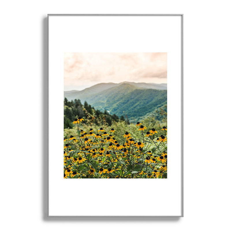 Smoky Mountains Wildflower Nature Photography Framed Art Print Gallery Image 101