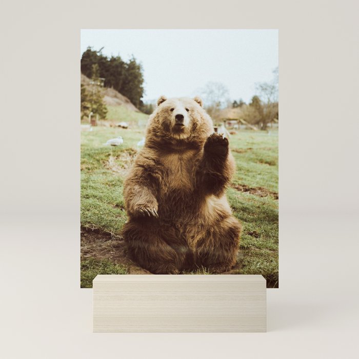 Hi Bear Mini Art Print Gallery Image 5