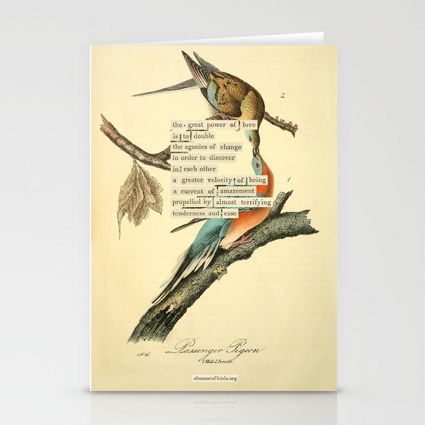 Bird Divinations: Passenger Pigeon (about: almanacofbirds.org) Stationery Card Gallery Image 2
