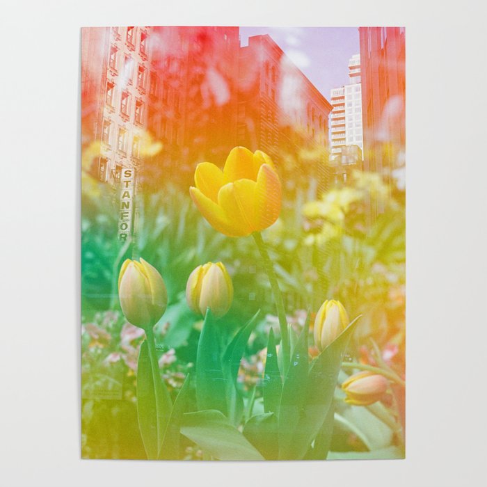Center of the Universe Poster Gallery Image 4