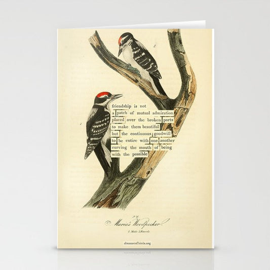 Bird Divinations: Maria's Woodpecker (about: almanacofbirds.org) Stationery Card Gallery Image 2