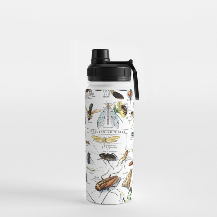 Insects Illustrations by Millot and Larousse Water Bottle Gallery Image 2