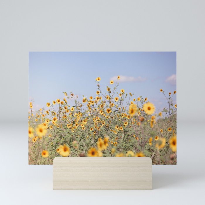 Texas Sunflower Field Mini Art Print Gallery Image 5