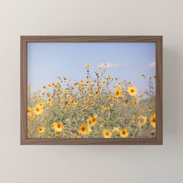 Texas Sunflower Field Mini Art Print Gallery Image 2