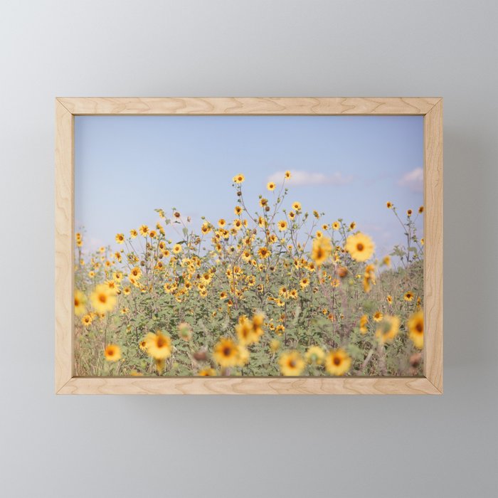 Texas Sunflower Field Mini Art Print Gallery Image 1