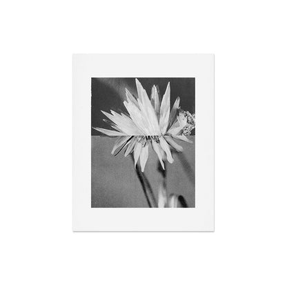Paired Frames - Flower Art Print Gallery Image 5