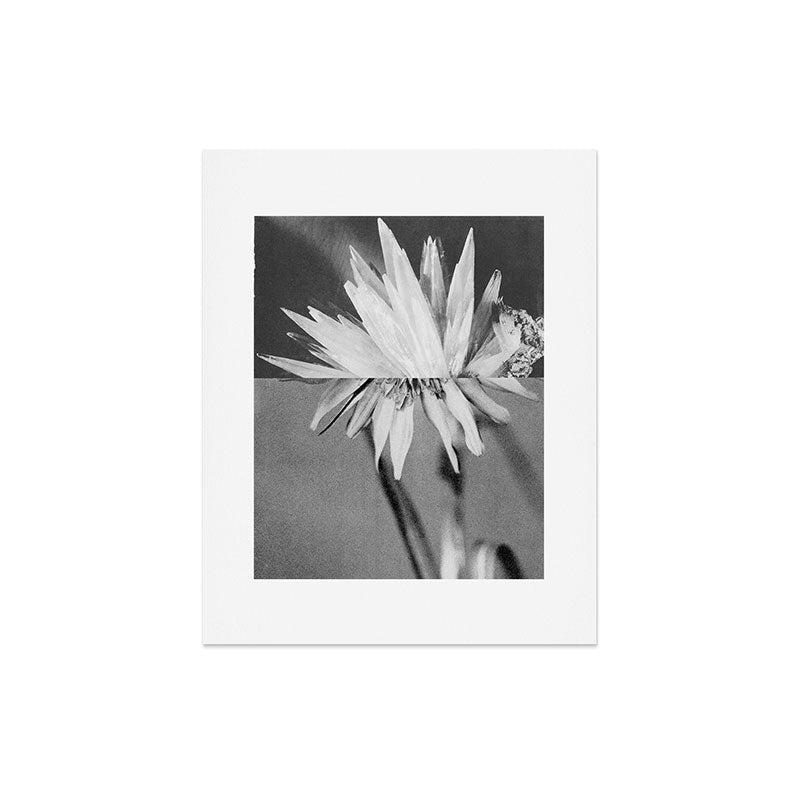 Paired Frames - Flower Art Print Gallery Image 4