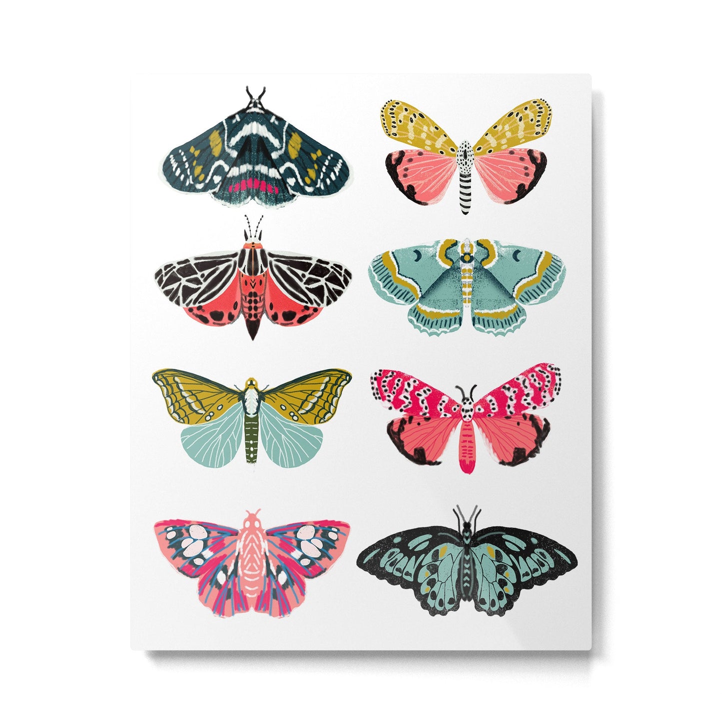 Moths - white background, moth print, moth art, moth sticker, moths, moth art Metal Print Gallery Image 2