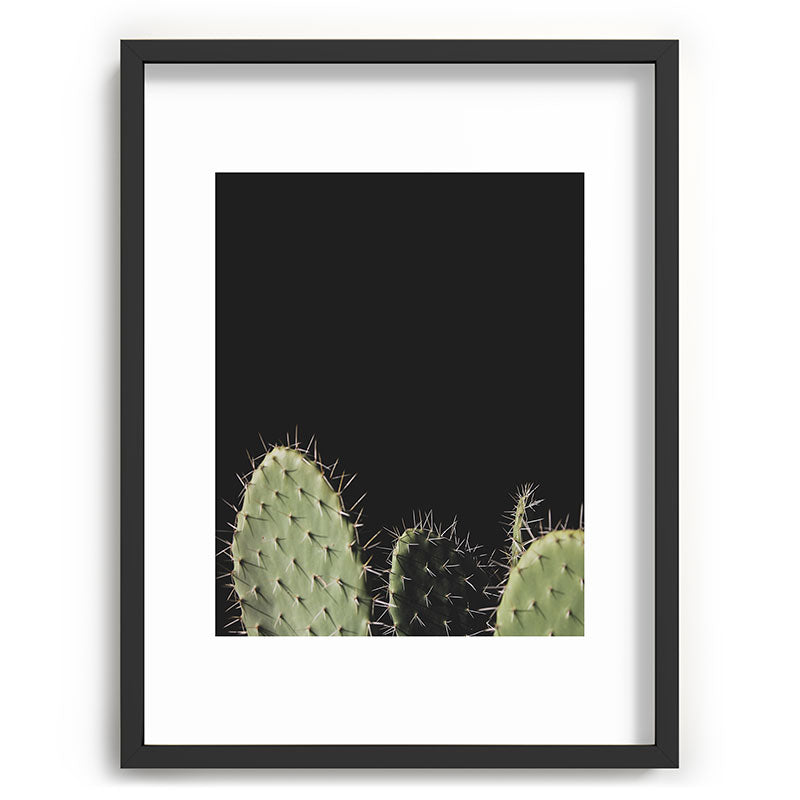 Cactus Framed Art Print Gallery Image 60