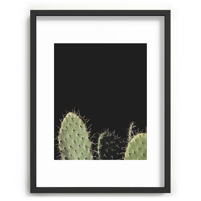 Cactus Framed Art Print Gallery Image 60
