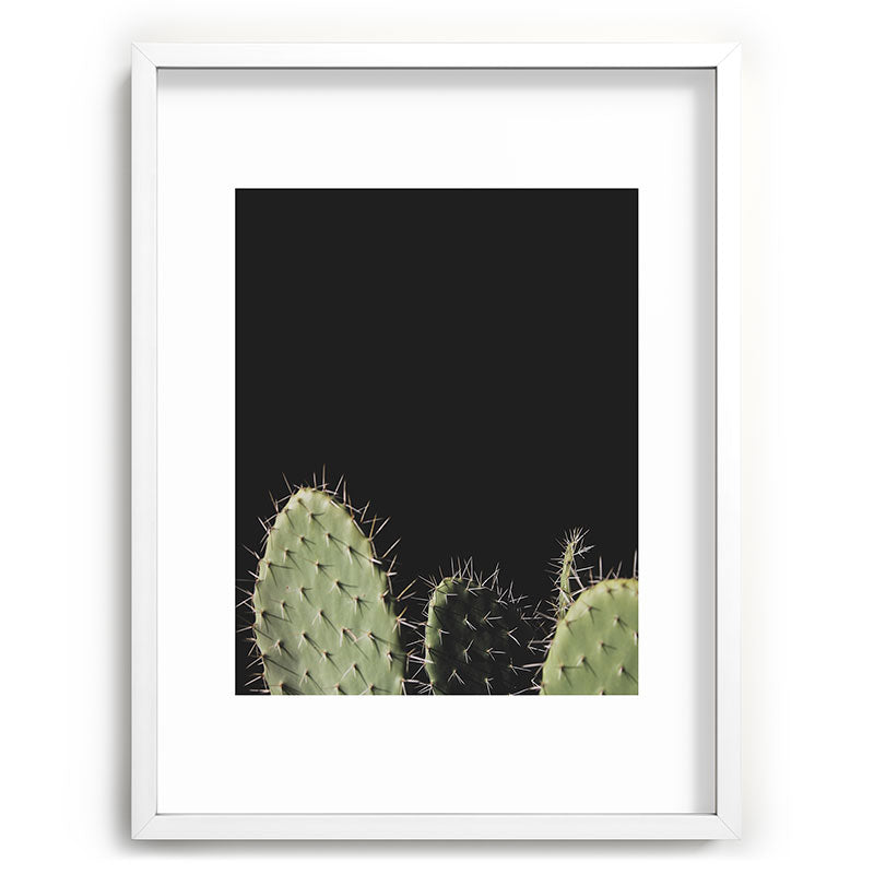 Cactus Framed Art Print Gallery Image 79