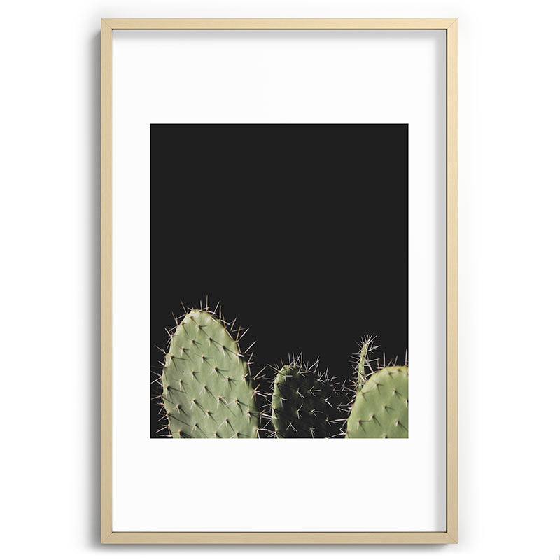Cactus Framed Art Print Gallery Image 74