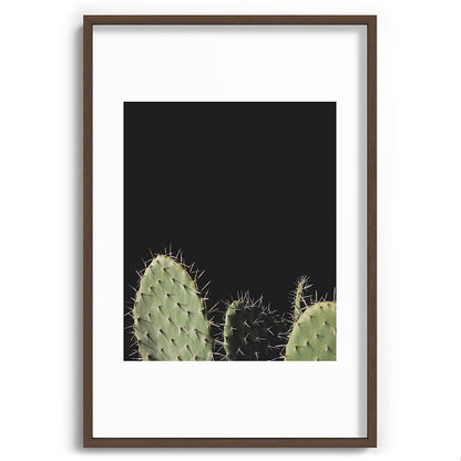 Cactus Framed Art Print Gallery Image 68