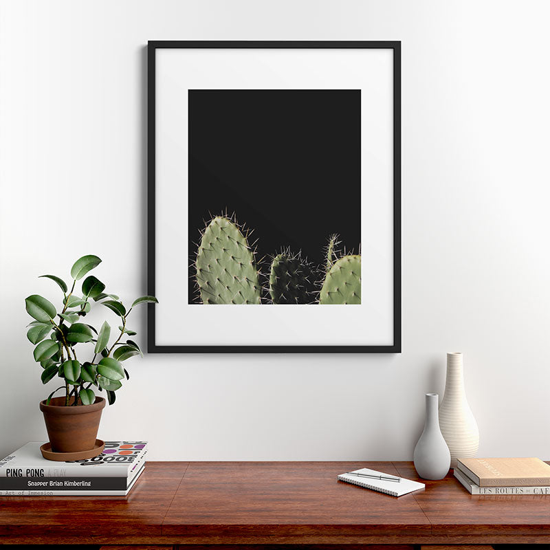 Cactus Framed Art Print Gallery Image 7
