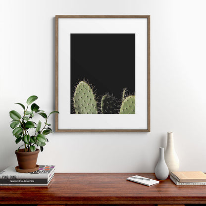 Cactus Framed Art Print Gallery Image 14