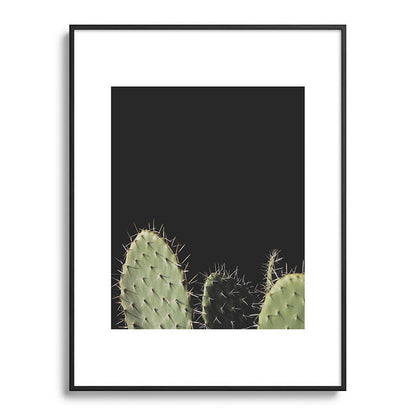 Cactus Framed Art Print Gallery Image 85