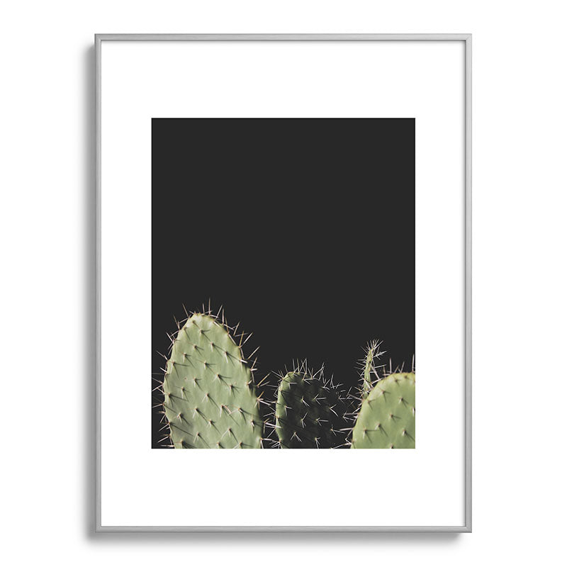 Cactus Framed Art Print Gallery Image 99