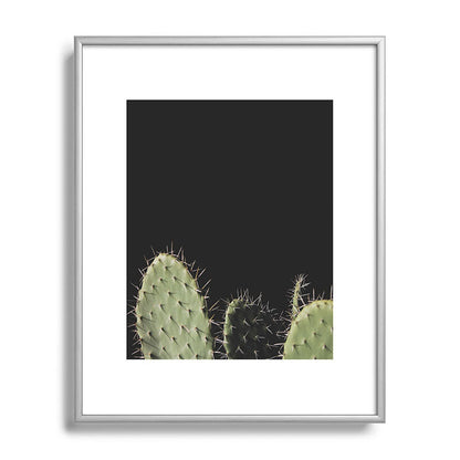 Cactus Framed Art Print Gallery Image 95