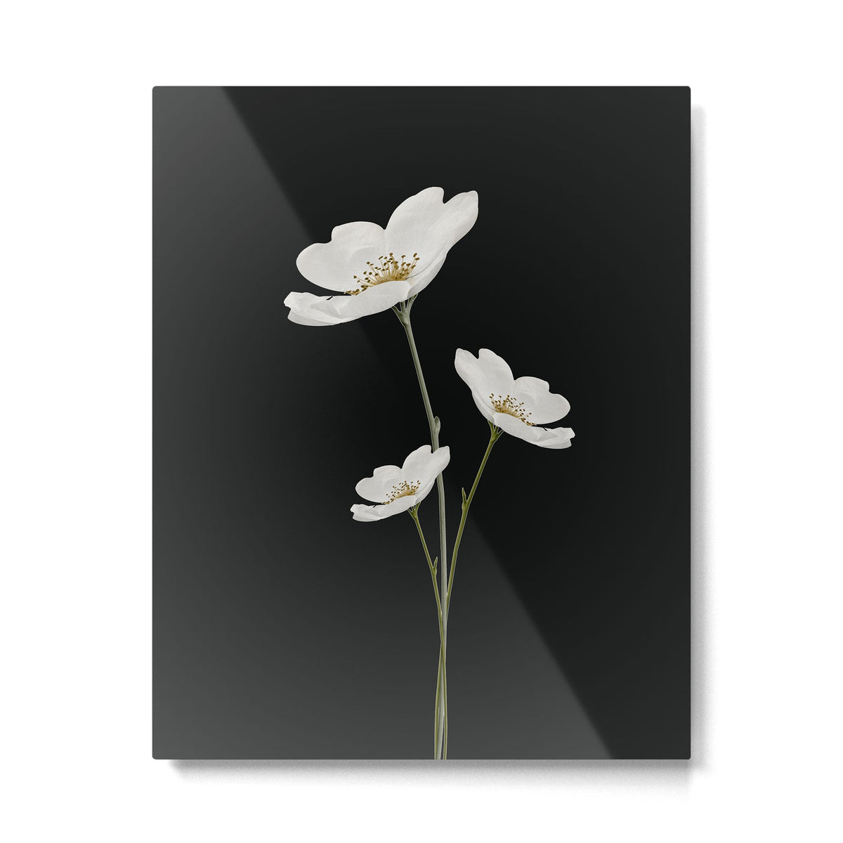 Flowers 5 Metal Print Gallery Image 1