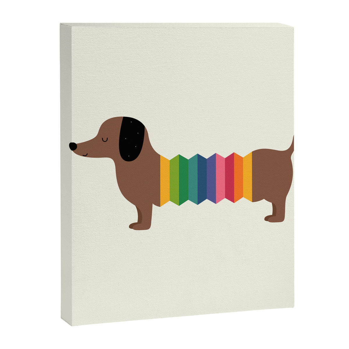 Rainbow Dooooog Canvas Print Gallery Image 1