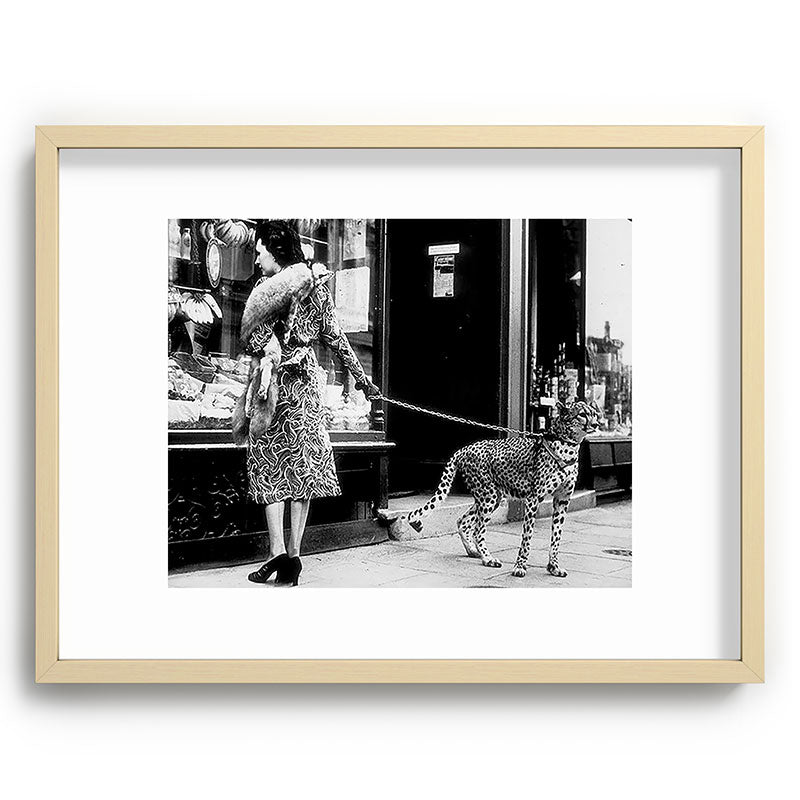 Woman Walking Pet Cheetah in London, 1939 Framed Art Print Gallery Image 72