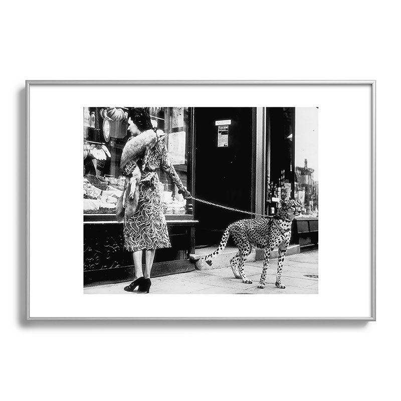 Woman Walking Pet Cheetah in London, 1939 Framed Art Print Gallery Image 97