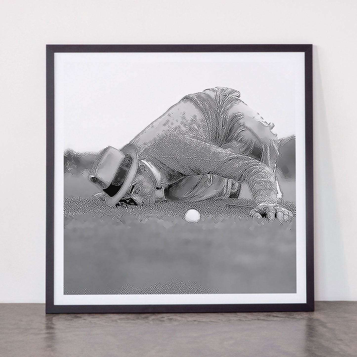 Eye to the ground on the 18th hole; golfing man eyes ball to measure distance to hole vintage black and white portrait photograph - photography - photographs poster Framed Art Print Gallery Image 55