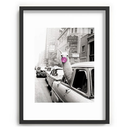 Perfect Pink Bubble Gum Llama taking a New York Taxi black and white photograph Framed Art Print Gallery Image 84