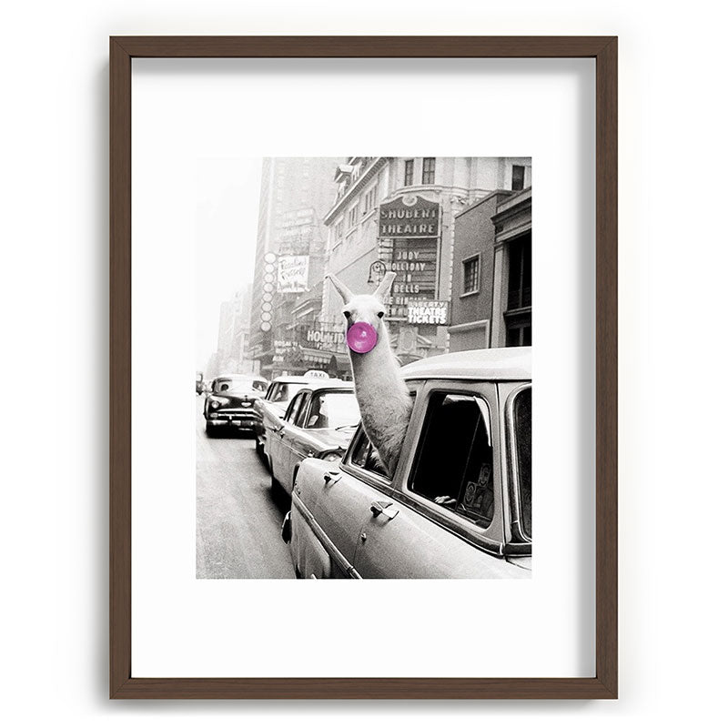 Perfect Pink Bubble Gum Llama taking a New York Taxi black and white photograph Framed Art Print Gallery Image 92