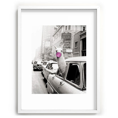 Perfect Pink Bubble Gum Llama taking a New York Taxi black and white photograph Framed Art Print Gallery Image 108