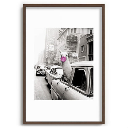 Perfect Pink Bubble Gum Llama taking a New York Taxi black and white photograph Framed Art Print Gallery Image 94