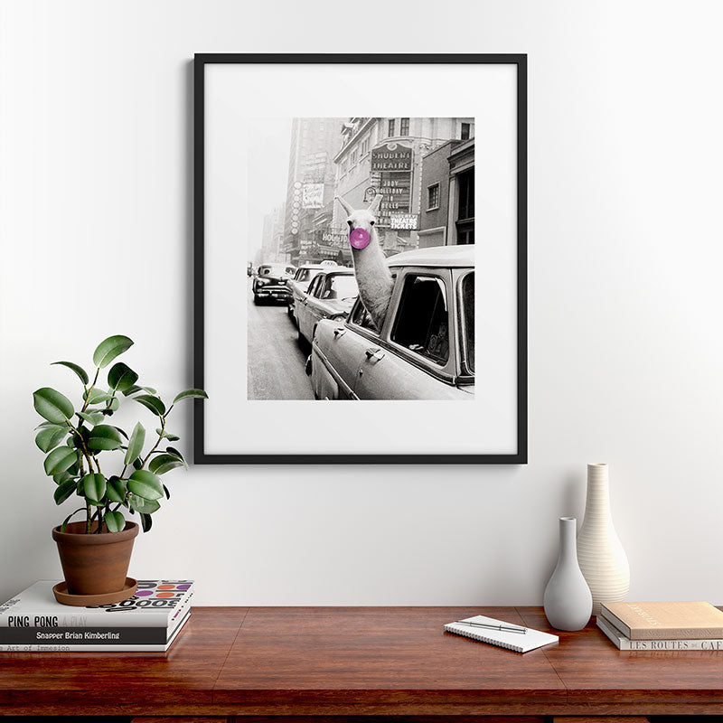 Perfect Pink Bubble Gum Llama taking a New York Taxi black and white photograph Framed Art Print Gallery Image 9