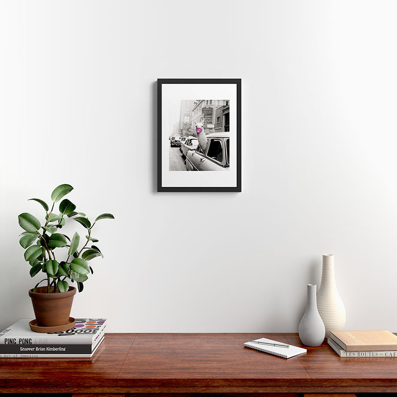 Perfect Pink Bubble Gum Llama taking a New York Taxi black and white photograph Framed Art Print Gallery Image 4