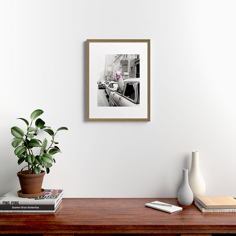 Perfect Pink Bubble Gum Llama taking a New York Taxi black and white photograph Framed Art Print Gallery Image 16