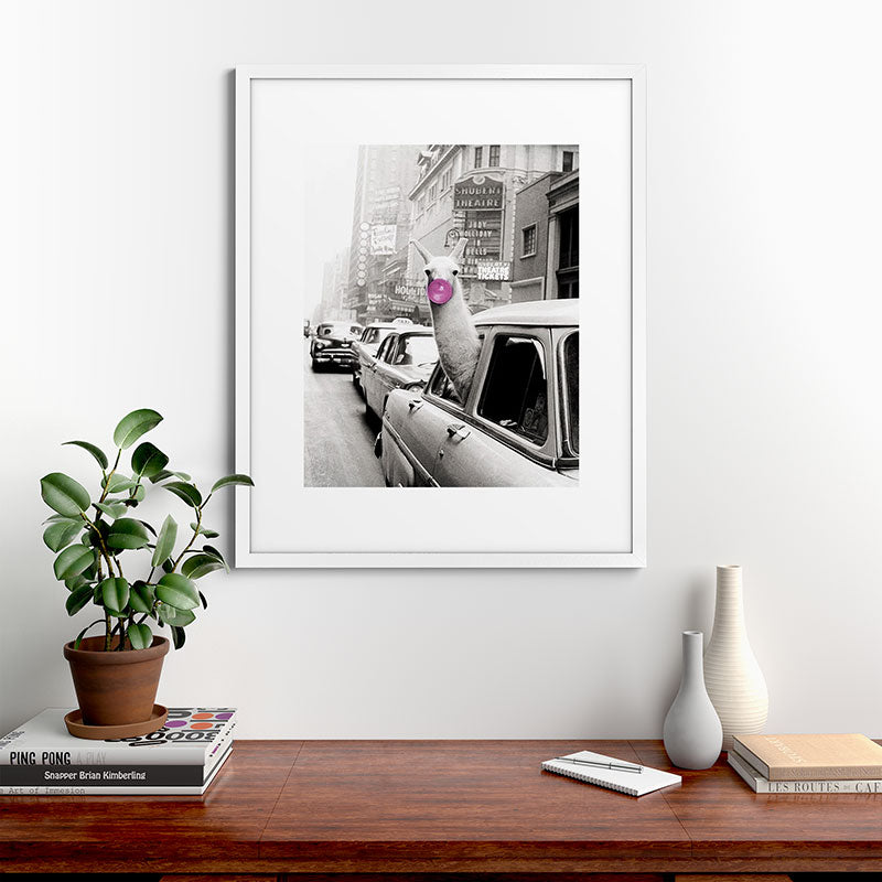 Perfect Pink Bubble Gum Llama taking a New York Taxi black and white photograph Framed Art Print Gallery Image 76