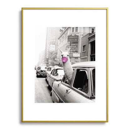 Perfect Pink Bubble Gum Llama taking a New York Taxi black and white photograph Framed Art Print Gallery Image 125