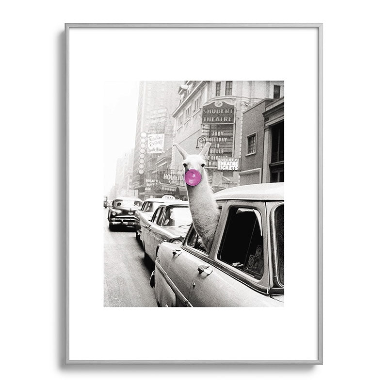 Perfect Pink Bubble Gum Llama taking a New York Taxi black and white photograph Framed Art Print Gallery Image 134