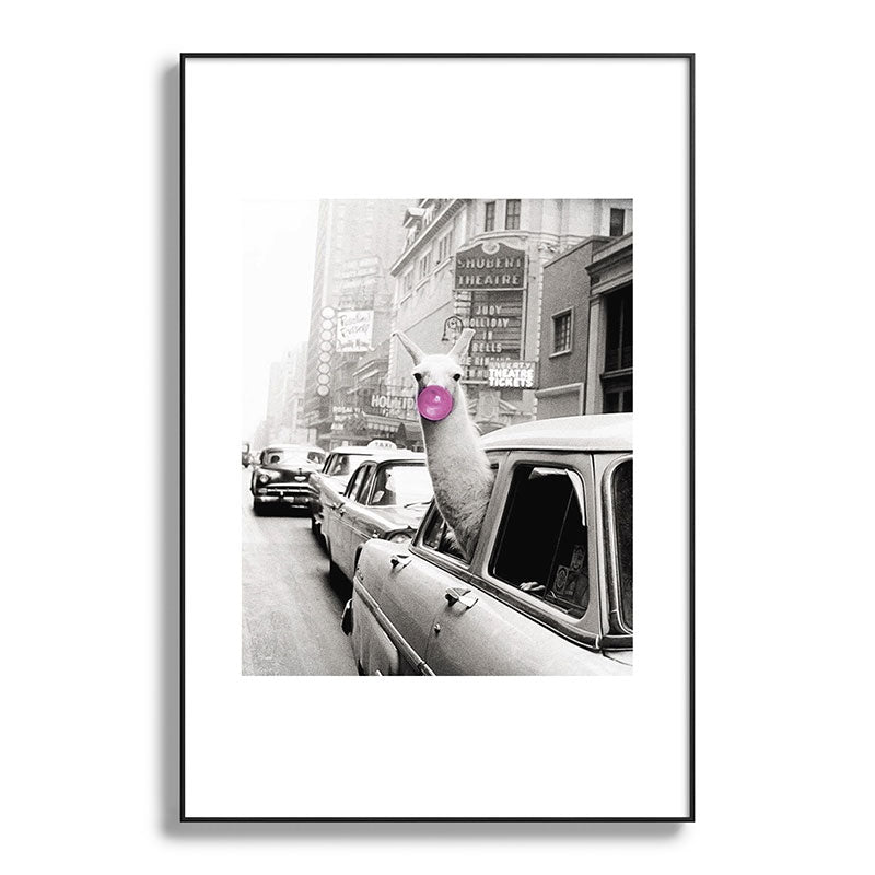Perfect Pink Bubble Gum Llama taking a New York Taxi black and white photograph Framed Art Print Gallery Image 117