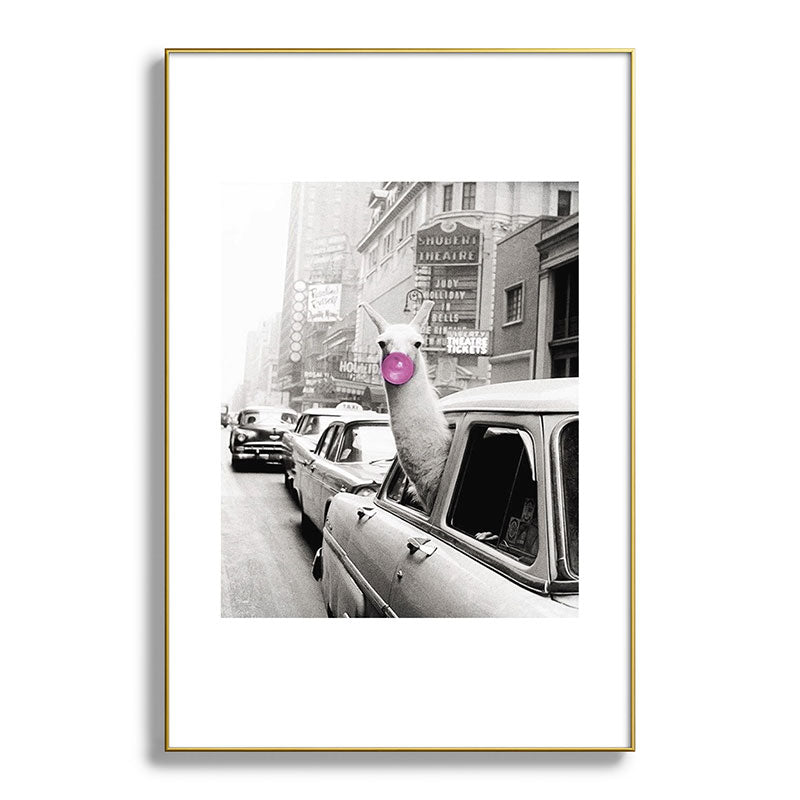 Perfect Pink Bubble Gum Llama taking a New York Taxi black and white photograph Framed Art Print Gallery Image 128